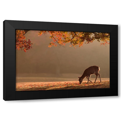 First Autumn Black Modern Wood Framed Art Print by Matsui, Yoshinori
