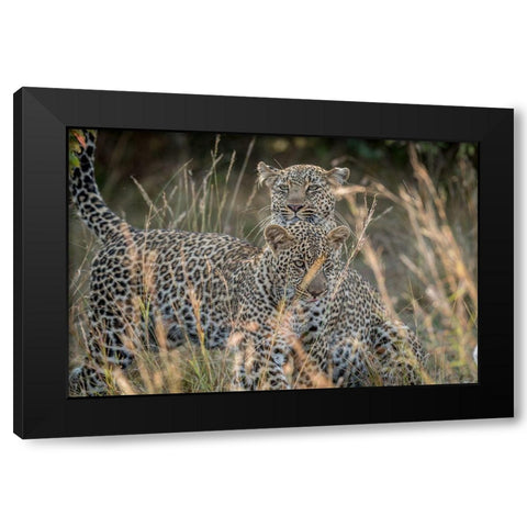 Mother And Daughter Black Modern Wood Framed Art Print by C. Sink, Jeffrey