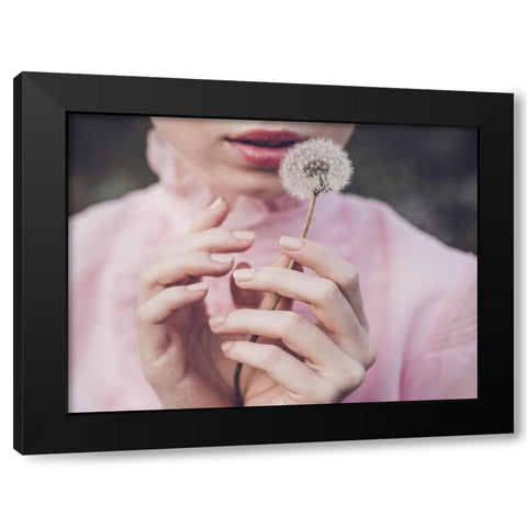 Dandelion Black Modern Wood Framed Art Print with Double Matting by Gorecka, Dorota
