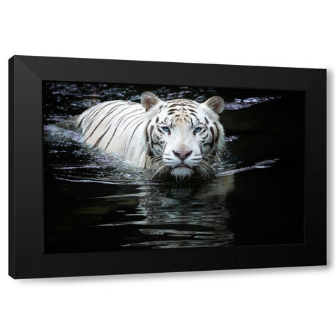 Looking At Me Looking At You Black Modern Wood Framed Art Print with Double Matting by Doyle, Renee