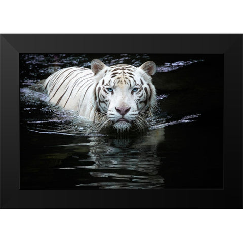 Looking At Me Looking At You Black Modern Wood Framed Art Print by Doyle, Renee