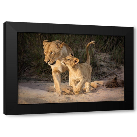 Happy Black Modern Wood Framed Art Print with Double Matting by Bonadio, Heather