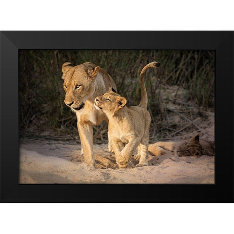 Happy Black Modern Wood Framed Art Print by Bonadio, Heather