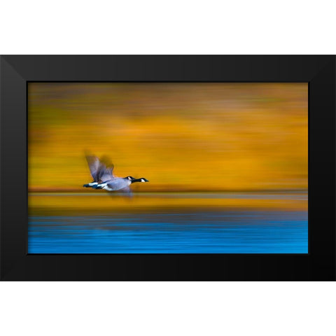 Dream Couple Black Modern Wood Framed Art Print by Wang, Kevin