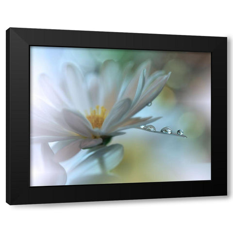 Light Touch... Black Modern Wood Framed Art Print with Double Matting by Nan, Juliana