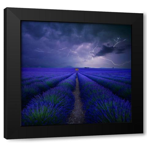 Wetter Im Lavendelfeld Black Modern Wood Framed Art Print by Schumacher, Nicolas