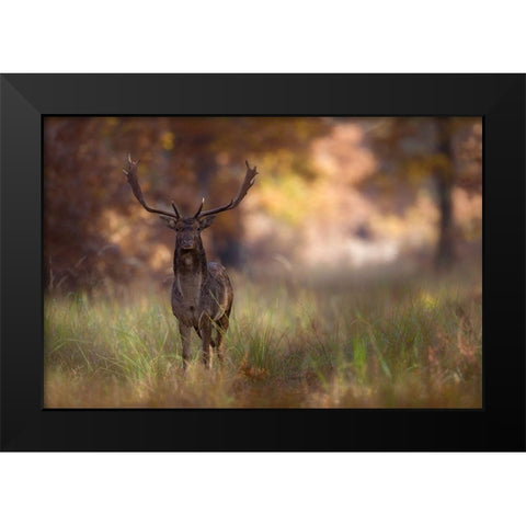 Posing Black Modern Wood Framed Art Print by Mastahac, Sebastian