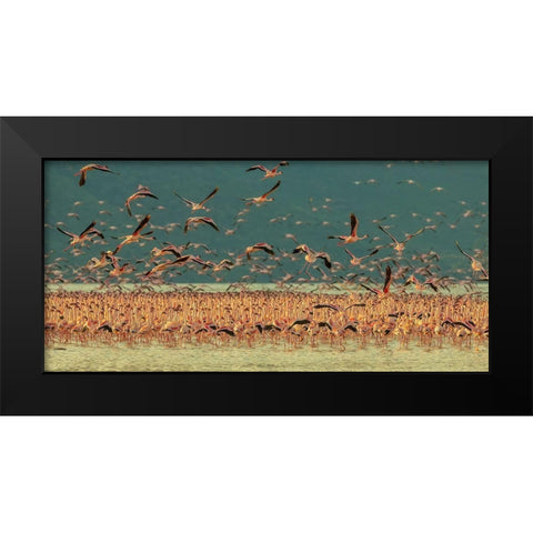 Gathering In Golden Light Black Modern Wood Framed Art Print by Hua, David