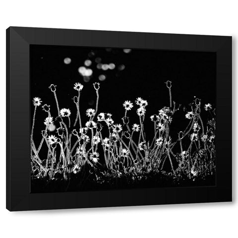 The Little Flowers Black Modern Wood Framed Art Print by Lagaa, Kahar