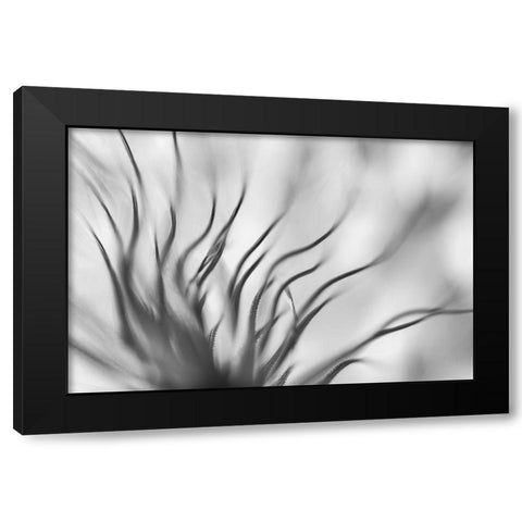 Untitled Black Modern Wood Framed Art Print with Double Matting by Or, Keren