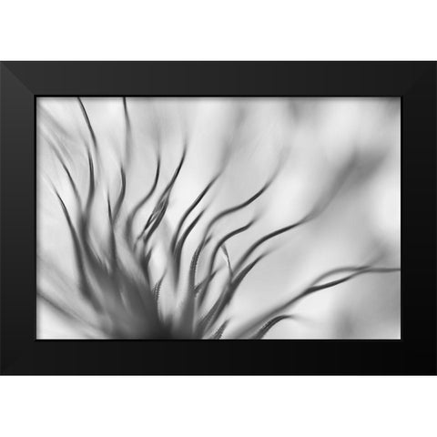 Untitled Black Modern Wood Framed Art Print by Or, Keren