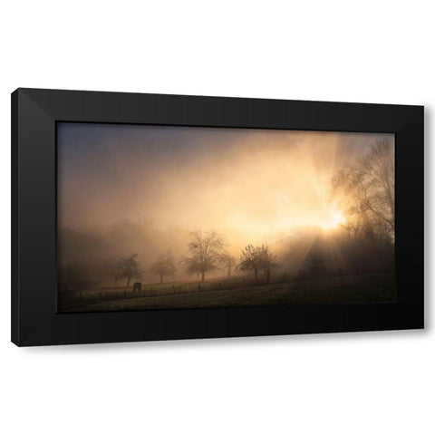 Glorious Morning Black Modern Wood Framed Art Print by Urlings, Lou