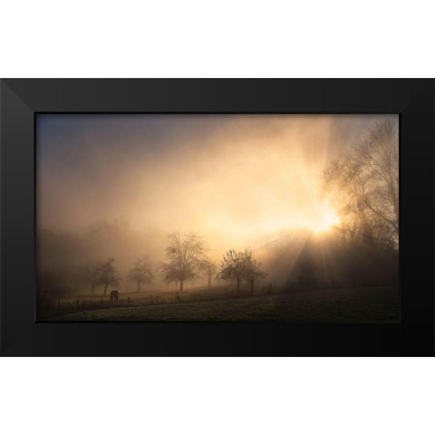 Glorious Morning Black Modern Wood Framed Art Print by Urlings, Lou