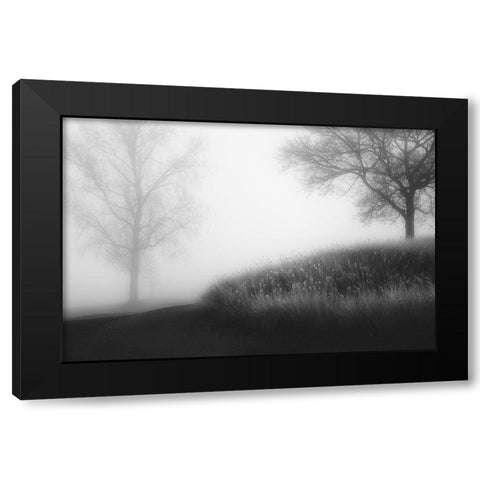 Foggy Morning Black Modern Wood Framed Art Print with Double Matting by Huybrighs, Marc