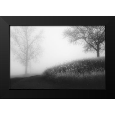 Foggy Morning Black Modern Wood Framed Art Print by Huybrighs, Marc