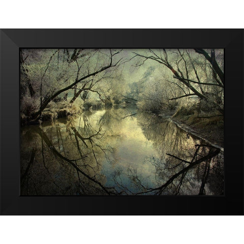 Frosty Silence Black Modern Wood Framed Art Print by Ri, P