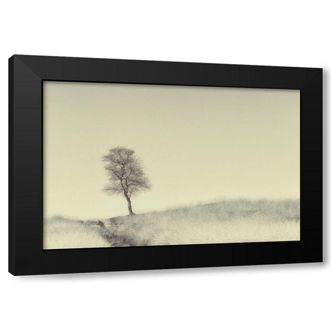 Tree On Top Black Modern Wood Framed Art Print by Van Den, Jaap