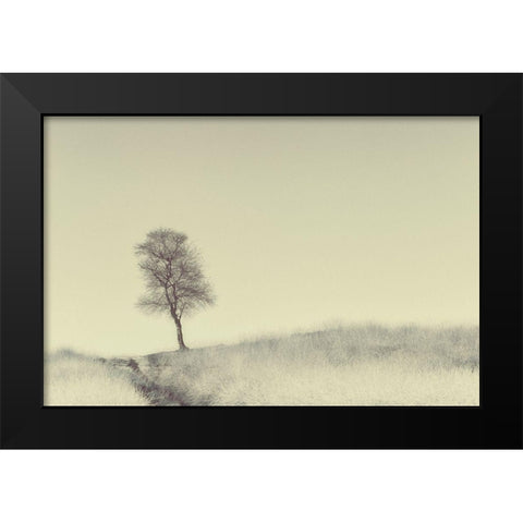 Tree On Top Black Modern Wood Framed Art Print by Van Den, Jaap