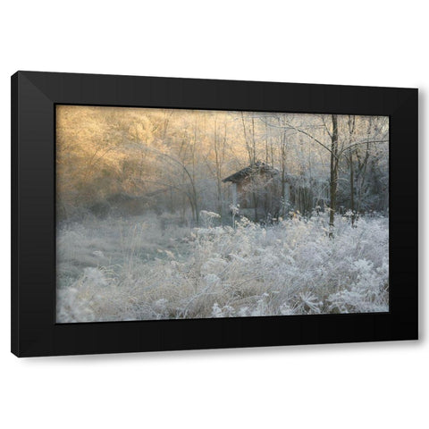* Black Modern Wood Framed Art Print with Double Matting by Bernard, Sheila