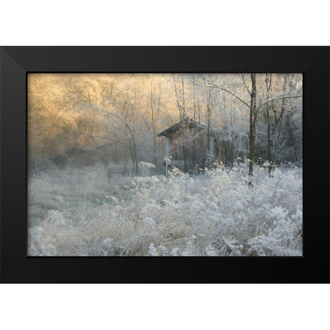 * Black Modern Wood Framed Art Print by Bernard, Sheila