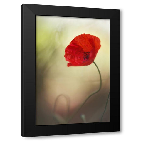 Untitled Black Modern Wood Framed Art Print with Double Matting by Or, Keren