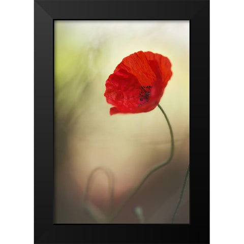 Untitled Black Modern Wood Framed Art Print by Or, Keren