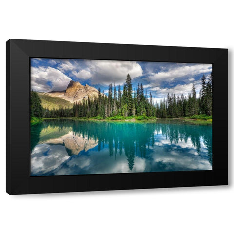 Emerald ... Black Modern Wood Framed Art Print by Dujic Lighthunter, Zoran