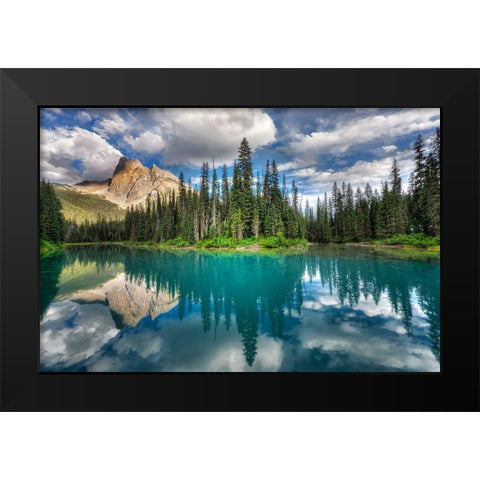 Emerald ... Black Modern Wood Framed Art Print by Dujic Lighthunter, Zoran