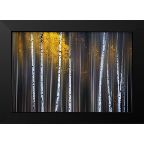 Curtain Of Fall Black Modern Wood Framed Art Print by Hu, Andy