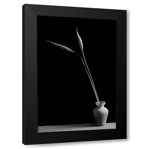 Double Black Modern Wood Framed Art Print by Oveckova, Kristina