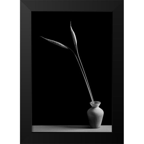 Double Black Modern Wood Framed Art Print by Oveckova, Kristina