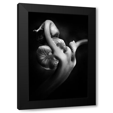 ..... Abw048 ..... Black Modern Wood Framed Art Print with Double Matting by Januar, Johanes