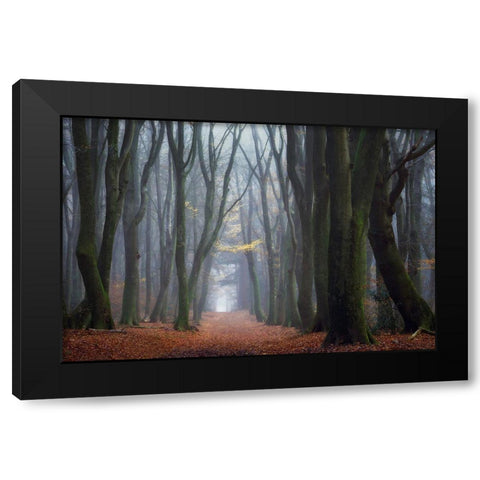 Lean On Me Black Modern Wood Framed Art Print by Borggreve, Ellen