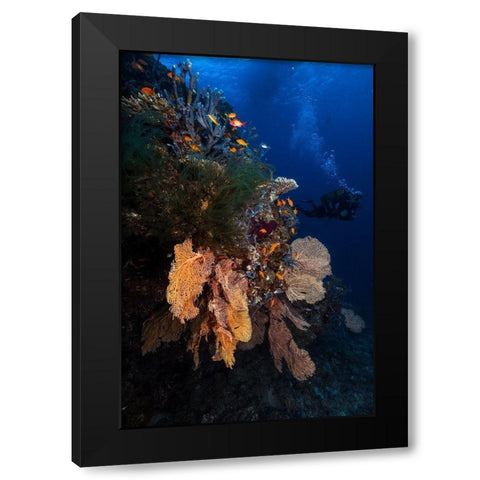 Diving Black Modern Wood Framed Art Print with Double Matting by Gabriel, Barathieu