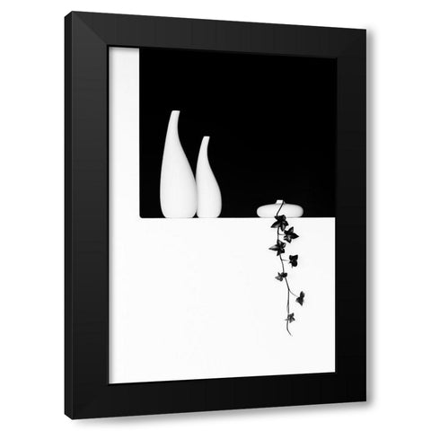 Ivy Black Modern Wood Framed Art Print with Double Matting by Oveckova, Kristina