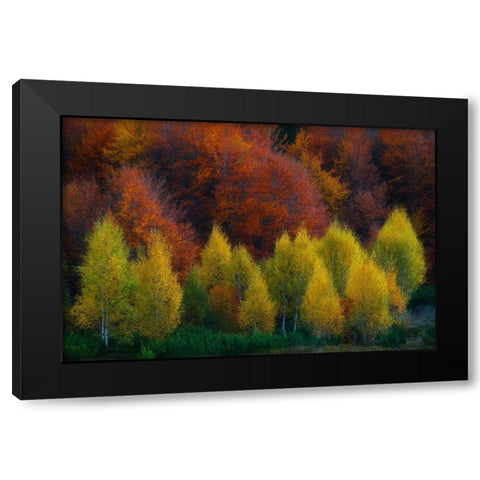 Nimbrethil Black Modern Wood Framed Art Print with Double Matting by Zsolt Andras, Szabo