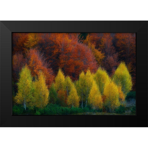 Nimbrethil Black Modern Wood Framed Art Print by Zsolt Andras, Szabo