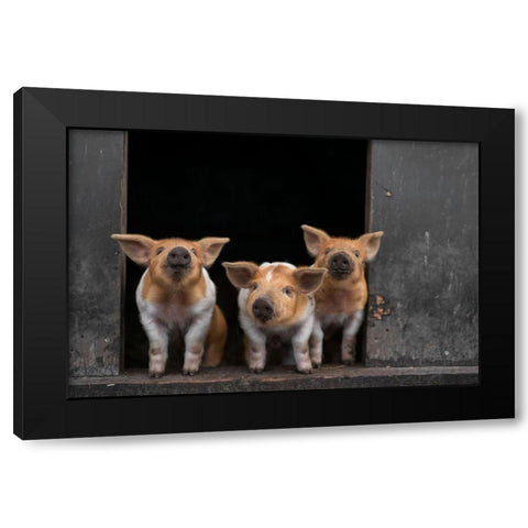 3 Black Modern Wood Framed Art Print by Van Den, Gert