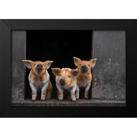 3 Black Modern Wood Framed Art Print by Van Den, Gert