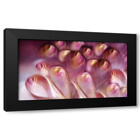 Rosebuds Black Modern Wood Framed Art Print with Double Matting by Westum, Heidi