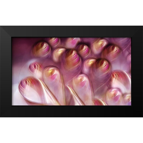 Rosebuds Black Modern Wood Framed Art Print by Westum, Heidi