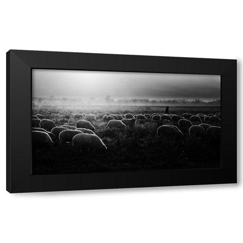 Let It Be Light! Black Modern Wood Framed Art Print by Cinteza, Marius