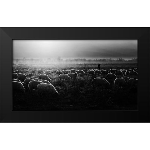 Let It Be Light! Black Modern Wood Framed Art Print by Cinteza, Marius