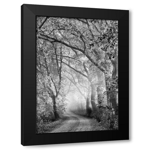 Tuscan Dream Alley Black Modern Wood Framed Art Print by Kreiten, Mike