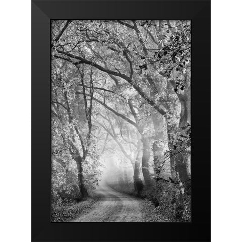 Tuscan Dream Alley Black Modern Wood Framed Art Print by Kreiten, Mike