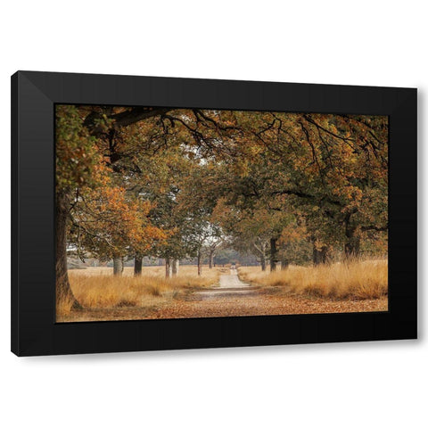 Lane Black Modern Wood Framed Art Print with Double Matting by Van Den, Jaap