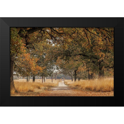 Lane Black Modern Wood Framed Art Print by Van Den, Jaap