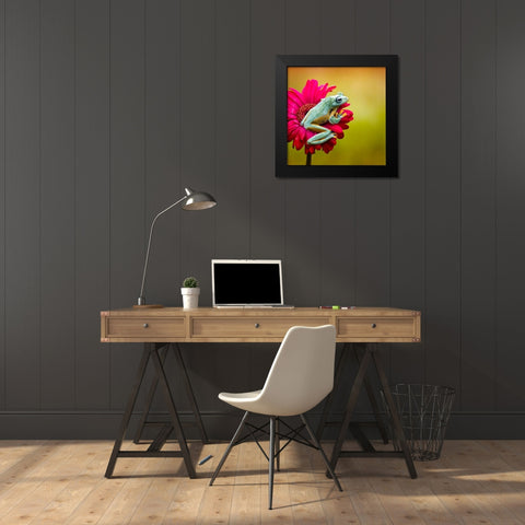 Pretty Frog Black Modern Wood Framed Art Print by Maududdin, Fauzan