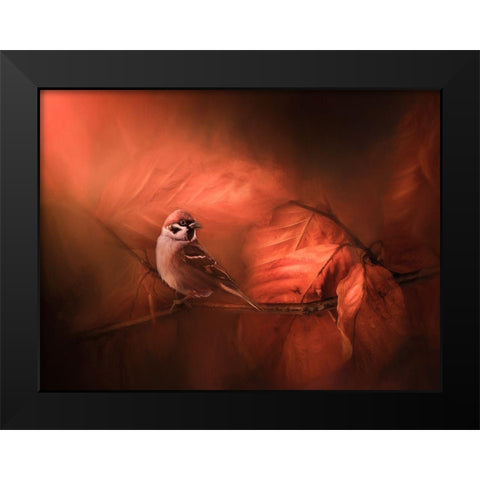 Summers End Black Modern Wood Framed Art Print by Lennartsson, Johan