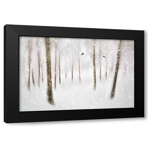 Winter Birches Black Modern Wood Framed Art Print by Davidsson, Gustav
